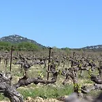 De Roux Bragassargues