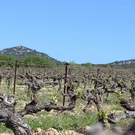 De Roux Bragassargues