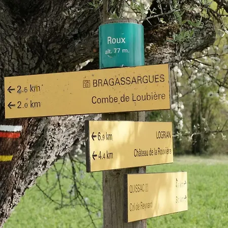 De Roux Bragassargues