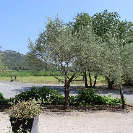 De Roux * Bragassargues