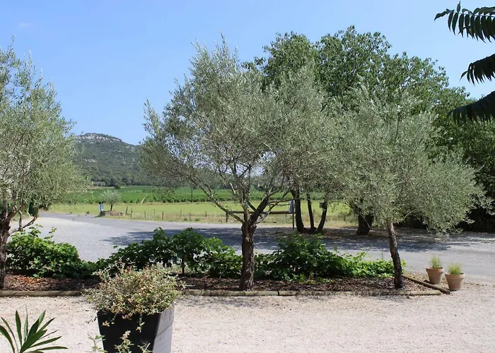 De Roux * Bragassargues